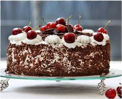 images?q=tbn:ANd9GcQr2I7_mBDojJu8hD4uthDa5GQqmGWMU6ybbKUAqlxApskpVWJr