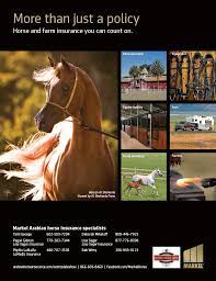 When the aqha sought an equine insurance carrier, they looked for an experienced company that was passionate about horses, and whose associates were horse people first, insurance people second. Deb Witty Markel Equine Insurance Specialist Home Facebook