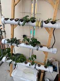 Hydroponik Selber Machen Bauanleitung Zum Eigenen Nft System
