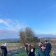 Winter Wellbeing Walk with the Alpacas event image