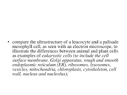 We did not find results for: Cells F Ppt Download