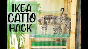 Small apartment ikea hacks for cats. Ikea Hack Outdoor Cat Enclosure Apartment Balcony Catio Cat Tree Ideas 2020 Daniela Carmela Youtube
