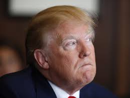 Dar poate că această şopârlă placată nu era chiar atât de proastă. Replica Lui Donald Trump Obama A Fost Cel Mai Prost Presedinte Din Istoria Å£Äƒrii Noastre