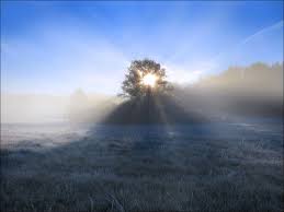 Cold Morning In Sweden Oc 16001200 Reddit Earth Pictures Cold Morning Beautiful Nature