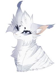What your cat s body language means prettylitter. Snowbird Clan Cliffclan Mom Lilypelt Dad Blackfeather Deception Snow Bird Was Sitting On The Ledge O Warrior Cat Drawings Warrior Cats Fan Art Warrior Cats Art