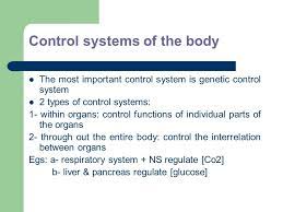 Introduction To Physiology Control System Of The Body Dr Aiad Siam Al Azhar University 1st Year Ppt Download