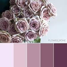 Amnesia Rose Flower Moxie Diy Wedding Flowers Mauve Wedding Colors Dusty Lavender Wedd Lavender Wedding Flowers Spring Wedding Flowers Fall Wedding Flowers