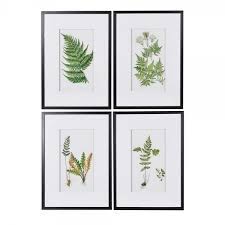 Find the perfect gold leaf picture frame stock photos and editorial news pictures from getty images. Fern Framed Picture With Black Frame Curiosity Interiors