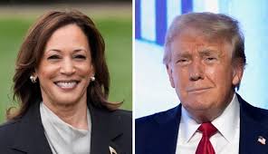 Susan Levenstein (@slevenstein)