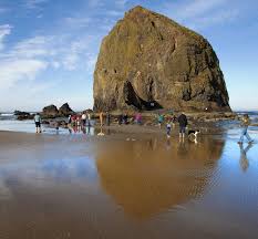 Look But Dont Touch Haystack Rock In Cannon Beach The