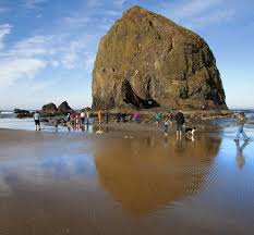 look but dont touch haystack rock in cannon beach the