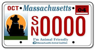 Financial assistance resources for pet owners. Spay Neuter Services Mspca Angell
