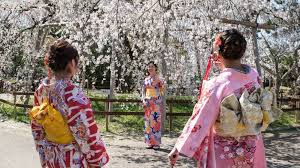 Check spelling or type a new query. Japan S Cherry Blossom Earliest Peak Since 812 Bbc News
