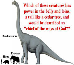 Let's begin with exploring the biblical description of behemoth. What Do You Know About The Behemoth From The Bible Proprofs Quiz