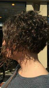 Pin By Liz Robertson On Hair Curly Hair Styles Short Curly Hair Short Curly Haircuts