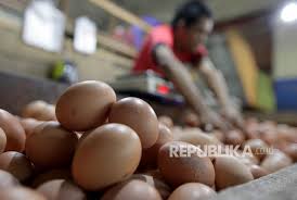 We did not find results for: Isu Telur Palsu Tak Ganggu Penjualan Republika Online