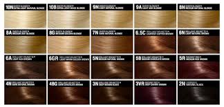 New Hairstyle 2014 Medium Golden Brown Hair Color Chart