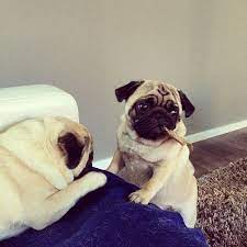 sharing is caring