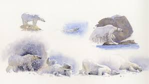 Thank you so much for this idea! Lions Tigers And Bears Oh My Paint And Sketch Stunning Watercolor Animals Artists Network