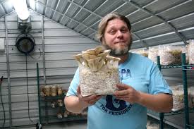 Visiting Gabe S Small Scale Mushroom Startup Milkwood Permaculture Courses Skills Stories