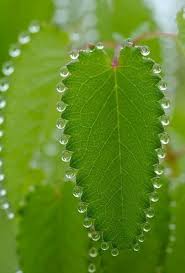 La Simetria De La Naturaleza Satisfying Pictures Amazing Nature Mother Nature