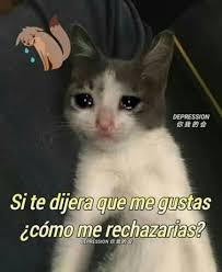 42 Moda Amor Memes Humor Amor Humor Memes Memesdivertidosdeamor Moda Memes Romanticos Memes Divertidos Memes