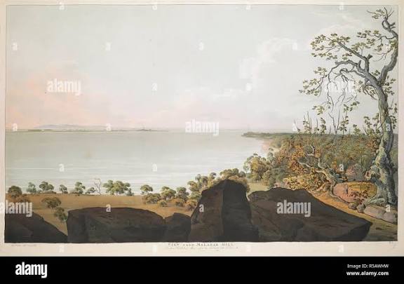 Cribb island hi-res stock photography and images - Alamy