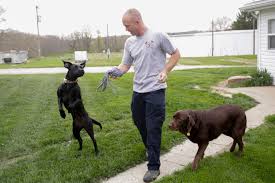 We look to keep the animals in their homes whenever possible. Indiana Firefighter Adopts Minnesota Dog Who Survived House Fire