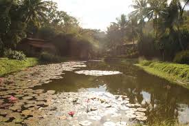 Assistam #sebastiãosalgado e #aíltonkrenak falando sobre somos a terra: Instituto Terra Aimores 2021 All You Need To Know Before You Go With Photos Aimores Brazil Tripadvisor