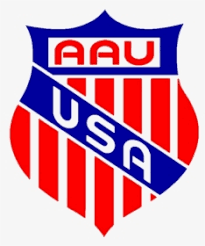 Their roots can be traced back to the western league of the 1890s who's clean cut image helped propell popularity eventually being promoted to major league status. Team Usa Basketball Logos Hd Png Download Transparent Png Image Pngitem
