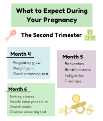 Need advice, support and resources? How Far Along Am I In My Pregnancy Your Week By Week Pregnancy Timeline Wehavekids
