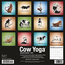 Cow Yoga 2019 Wall Calendar Calendar Wall Calendar July 15 2018 Wall Cow Yoga Calendar Wall Calendar Cow Unique Calendar