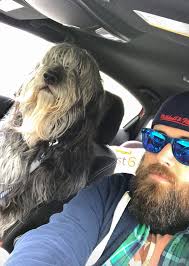 What the dog was originally bred to do will tell you a lot about how they'll act, bisher explains. 50 Dogs Who Don T Understand How Big They Are Bored Panda