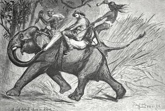 Bertie's Progress: The Prince of Wales in India, 1875-76: Part II, From Delhi to Bombay