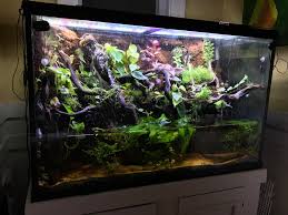 False bottoms raise the substrate above the bottom of an enclosure using a perforated material through which water can flow. 150 Gallon Paludarium Paludarium
