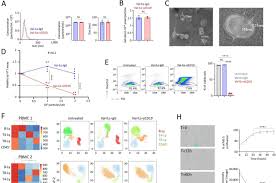 Image result for Valrubicin