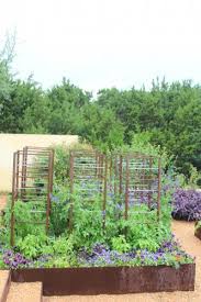 Although it's nothing new, there's been a rise in xeriscaping in the last few. Xeriscaping Archives Diana S Designs Austin
