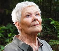 Read Womens-Interest from Best selling Magazines and Newspaper