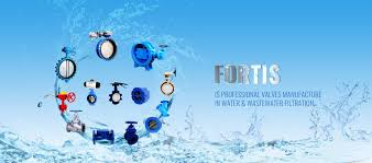Did you know it's possible to watch youtube videos without going to youtube? China Wafer Check Valve Factory And Suppliers Manufacturers Oem Quotes Fortis