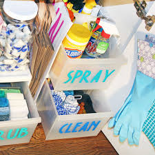 Under kitchen sink storage boxes. The Best Ways To Organize Under The Kitchen Sink Blue I Style