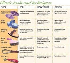 Grooming Chart Tools Horse Grooming Horse Riding Tips