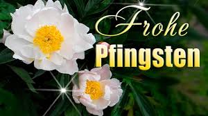 384 35 kunst malerei blumen. Download Frohlichen Pfingstsonntag In Mp4 And 3gp Codedwap