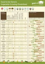 Many plants will fit into a space, change the design and keep track of plants on your garden layout, making succession planting and crop rotation much simpler. Your Personalised Vegetable Growing Cheat Sheet