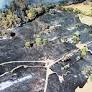 Widespread Forest Fires Challenge Multiple German States Amid Belgian Assistance