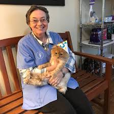 Maybe you would like to learn more about one of these? Clinic Doctors Brewer Veterinary Clinic