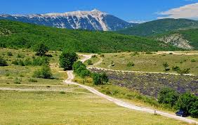 11 bed house for sale in avignon. 20 Top Attractions Places To Visit In The Haut Vaucluse Provence Planetware
