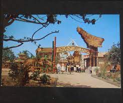 Pin By Michael Mayer On Disneyland Etc Vintage Disneyland Disneyland World Enchanted Tiki Room