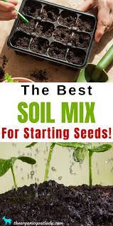 The Best Soil Mix For Starting Seeds Starting Seeds Indoors Seed Starting Soil Seed Starting Mix