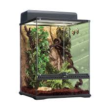 Medium Rainforest Terrarium Kit Includes A 24 L X 18 W X 18 H Glass Terrarium Rock Background Soi Reptile Terrarium Terrariums Kits Rainforest Habitat