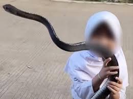 Ular : la rencontre qui retient son souffle — image 4